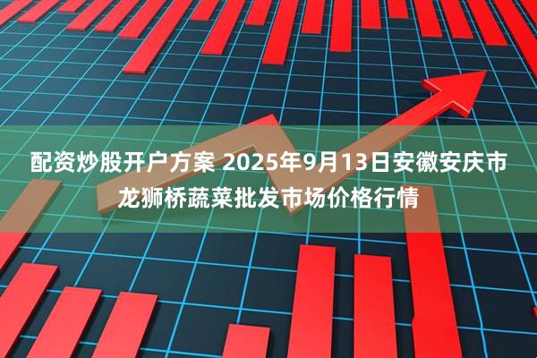 配资炒股开户方案 2025年9月13日安徽安庆市龙狮桥蔬菜批发市场价格行情