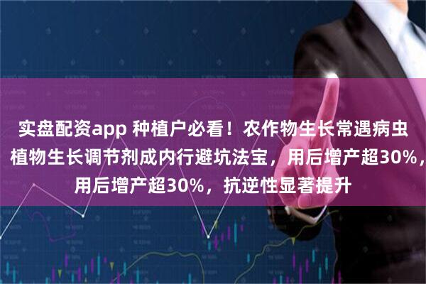 实盘配资app 种植户必看！农作物生长常遇病虫害、产量低难题，植物生长调节剂成内行避坑法宝，用后增产超30%，抗逆性显著提升