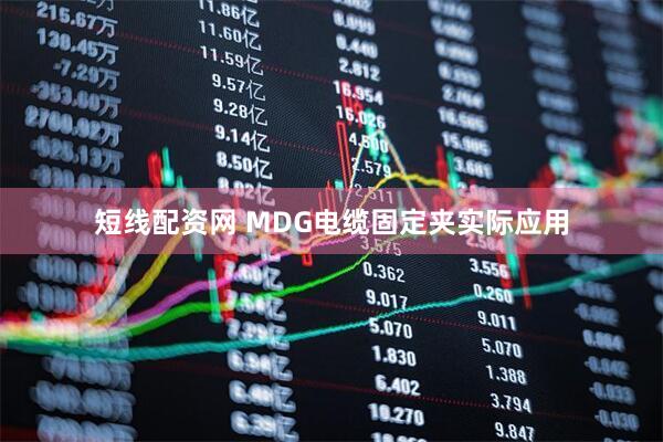 短线配资网 MDG电缆固定夹实际应用