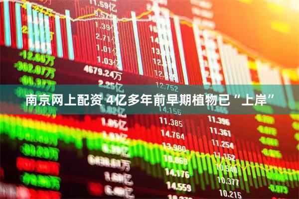 南京网上配资 4亿多年前早期植物已“上岸”